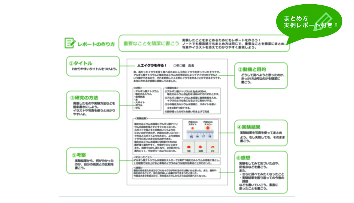 WSL-02特徴